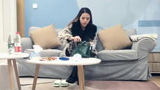 ██极品小仙女下海! 糯糯糯糯 颜值太高太可爱~大尺度~ 图 35