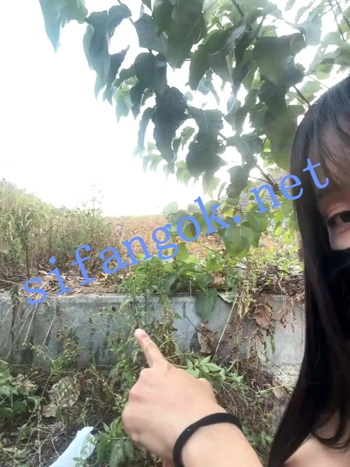 ☛ST开票 xiao-Lin 大长腿骚货户外路边裸体假阳具喷水 图 11