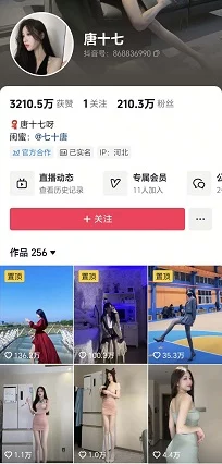 抖音200万粉顶级美女 唐十七 小内裤骚舞福利 微密丝滑原版 图 01