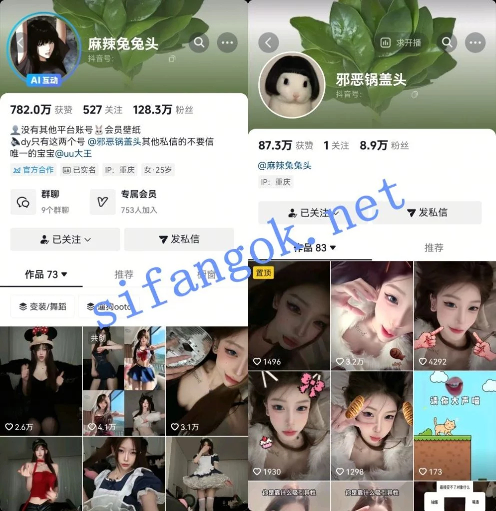 抖音百万粉人气魅魔-麻辣兔兔头 会员会议舞蹈秀！【6V】【1.96G】